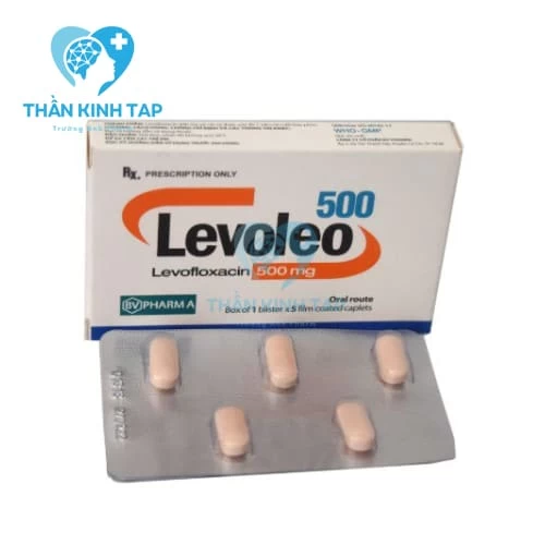 Levoleo 500 - Điều trị các nhiễm khuẩn do các vi khuẩn nhạy cảm.